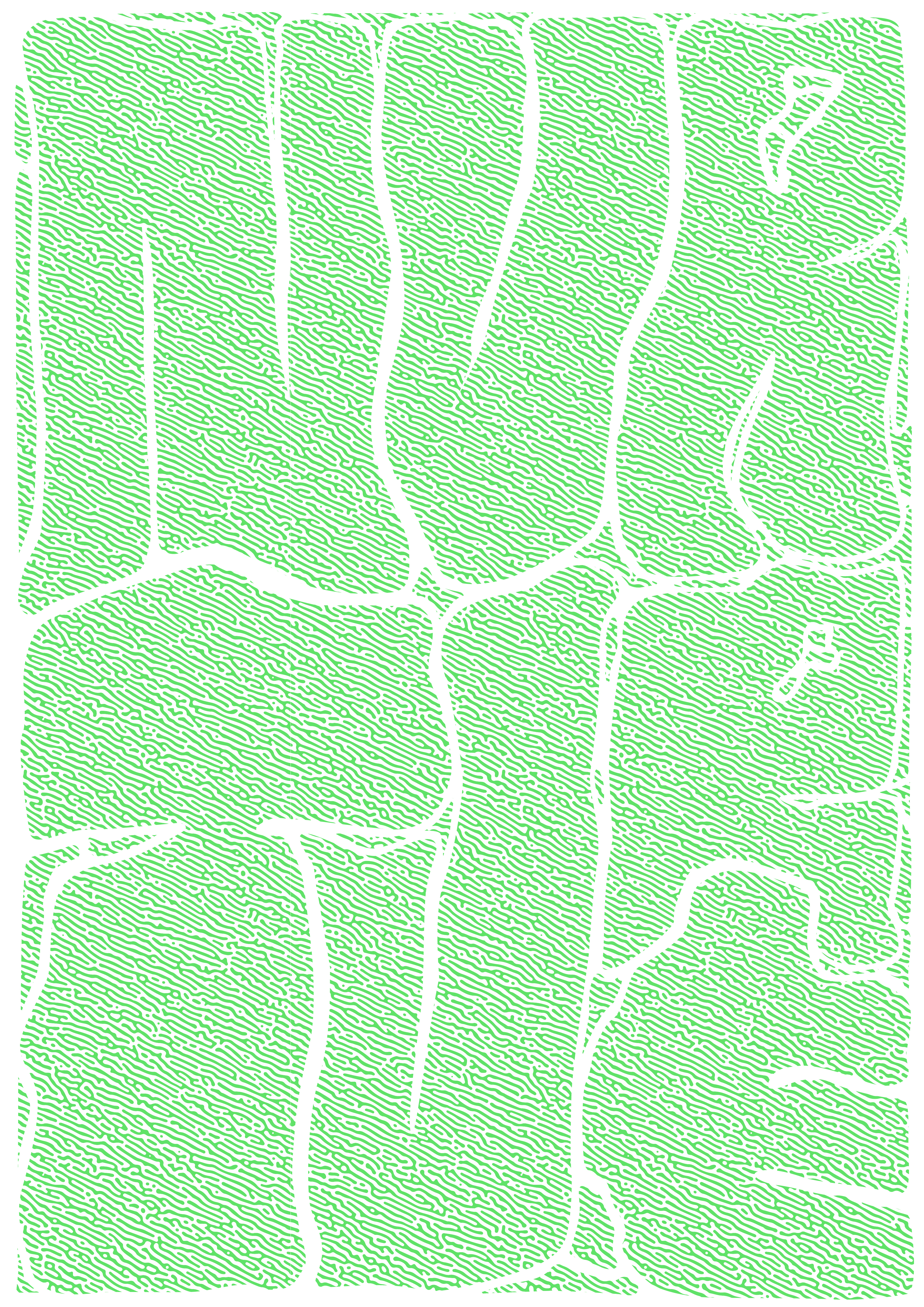 Biophilia Poster, biophilia.jpg